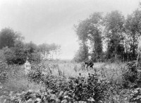 Buitenplaats Nieuw Eyk en Duynen (1890)